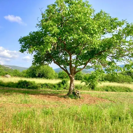 דירה Suncrest מוסטר