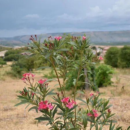 Apartman Suncrest Mostar